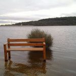 Adrift at Lysterfield Lake Park